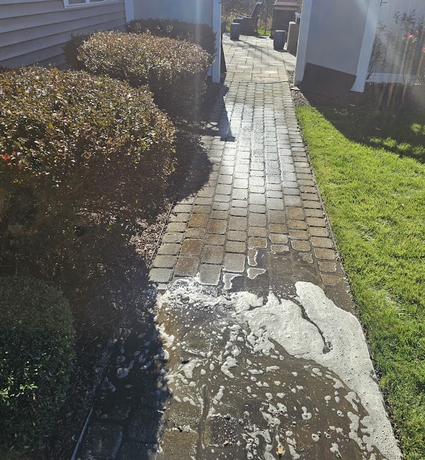 surface cleaning